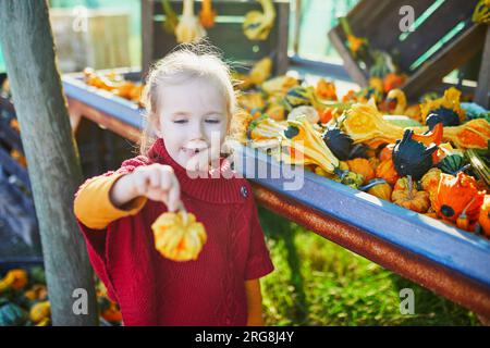 Adorabile bambina in età prescolare che seleziona varie zucche decorative al mercato agricolo per Halloween. Bambini che esplorano la natura. Attività autunnali per sma Foto Stock