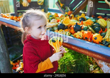 Adorabile bambina in età prescolare che seleziona varie zucche decorative al mercato agricolo per Halloween. Bambini che esplorano la natura. Attività autunnali per sma Foto Stock