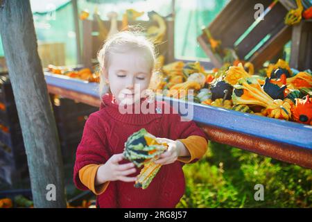 Adorabile bambina in età prescolare che seleziona varie zucche decorative al mercato agricolo per Halloween. Bambini che esplorano la natura. Attività autunnali per sma Foto Stock