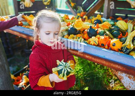 Adorabile bambina in età prescolare che seleziona varie zucche decorative al mercato agricolo per Halloween. Bambini che esplorano la natura. Attività autunnali per sma Foto Stock