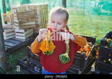 Adorabile bambina in età prescolare che seleziona varie zucche decorative al mercato agricolo per Halloween. Bambini che esplorano la natura. Attività autunnali per sma Foto Stock