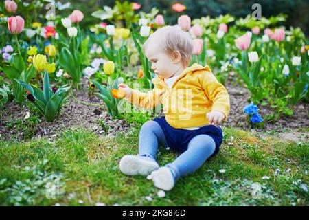 Una bambina di un anno seduta sull'erba con tulipani colorati. Bambino che guarda i fiori in una giornata primaverile nel parco. Adorabile bambino che esplora la natura Foto Stock