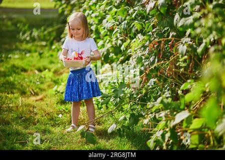 Adorabile ragazza in cappello di paglia che raccoglie lamponi biologici freschi in fattoria. Delizioso spuntino salutare per i bambini piccoli. Attività estive all'aperto per i più piccoli Foto Stock