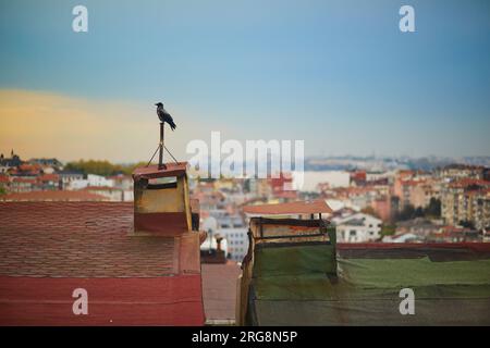 Vista panoramica dei tetti nel quartiere di Uskudar sul lato asiatico di Istanbul, Turchia Foto Stock