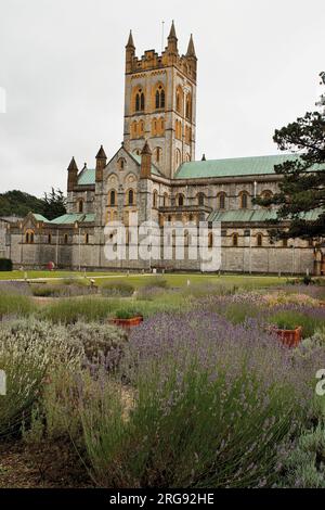 Buckfast Abbey a Buckfastleigh nel Devon, con letti di lavanda in primo piano. L'abbazia è un monastero benedettino attivo, fondato dal conte Aylward durante il regno di Canuto nel 1018. Dopo la dissoluzione dei monasteri nel XVI secolo l'abbazia rimase vuota e in rovina per oltre 200 anni, ma fu gradualmente ricostruita nel corso del XIX e XX secolo. Foto Stock