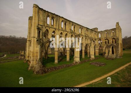 Parte delle rovine dell'abbazia di Rievaulx, vicino a Helmsley, North Yorkshire. Fu la prima abbazia cistercense nel nord dell'Inghilterra e fu fondata nel 1132. Foto Stock
