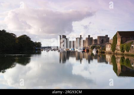 Una vista suggestiva del castello di Caernarfon (Caernarvon) nel Gwynedd, nel Galles del Nord, con numerose barche sull'acqua. Il castello fu costruito dal re inglese Edoardo i intorno al 1283, sul sito di una fortezza romana e Norman motte. Foto Stock