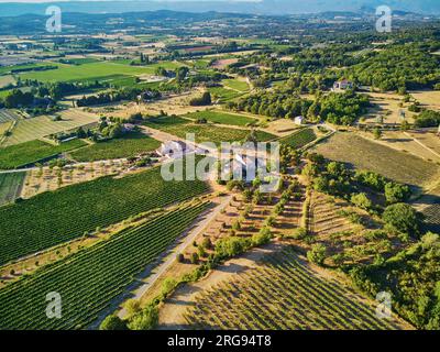 Paesaggio mediterraneo panoramico aereo con cipressi, ulivi e vigneti in Provenza, nel sud della Francia Foto Stock