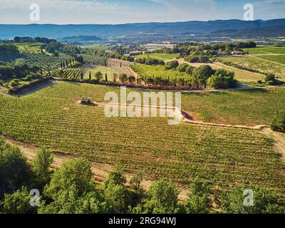 Paesaggio mediterraneo panoramico aereo con cipressi, ulivi e vigneti in Provenza, nel sud della Francia Foto Stock