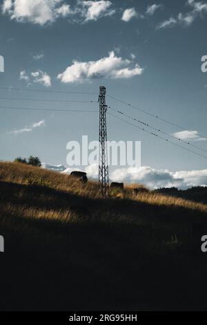 Palo elettrico su una collina con mucche sotto il cielo blu scuro. Foto Stock