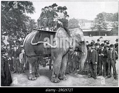 Due penny alla volta al Regent's Park Zoo, nel nord-ovest di Londra. Foto Stock