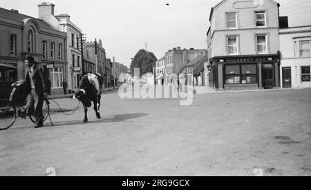 College Street - (mostra l'Arbutus Hotel), Killarney, County Kerry, Irlanda. Foto Stock