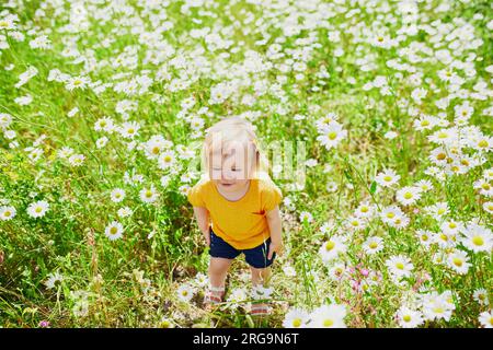 Adorabile bambina in mezzo all'erba verde e alle splendide margherite in un giorno d'estate. Bambini piccoli che si divertono all'aperto. Ragazzo che esplora la natura Foto Stock
