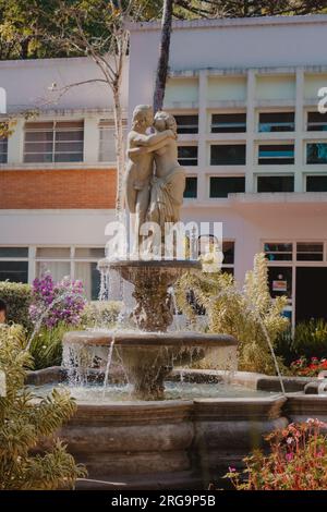 statua di coppia baciata presso la fontana Foto Stock