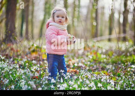 Bambina carina che gioca a caccia all'uovo a Pasqua. Bimbo alla ricerca di uova colorate nell'erba con molti fiori di goccia di neve. Bambino che festeggia la Pasqua Foto Stock