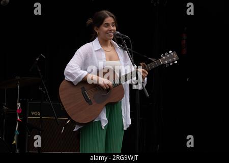 Una cantante/chitarrista donna all'Art in the Park, Leamington Spa, Warwickshire, Regno Unito Foto Stock