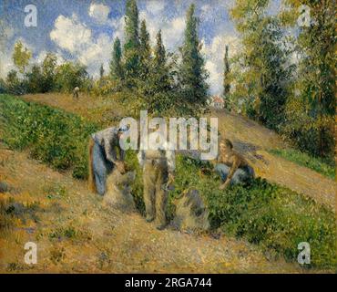 The Harvest, Pontoise (la Récolte, Pontoise) 1881 di Camille Pissarro Foto Stock