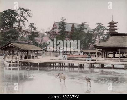 Santuario di Itsukushima, miyajima Aki, Giappone. Vintage 19th ° secolo fotografia. Foto Stock
