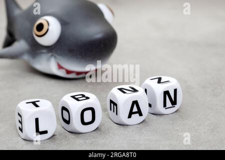 Squali solitari. La parola prestito con lo squalo giocattolo in grigio Foto Stock