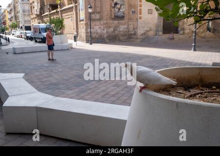 © Jeff Moore Russafa, Valencia. Chiesa di San Valero de Ruzafa (Valencia) Foto Stock