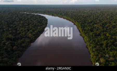 I FIUMI AMAZZONICI, CIRCONDATI DA UNA FITTA GIUNGLA, SI OSSERVANO I MEANDRI Foto Stock