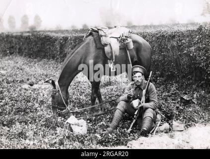 Fotografia d'epoca della prima guerra mondiale - prima guerra mondiale: Soldato di cavalleria britannico e il suo cavallo. Foto Stock