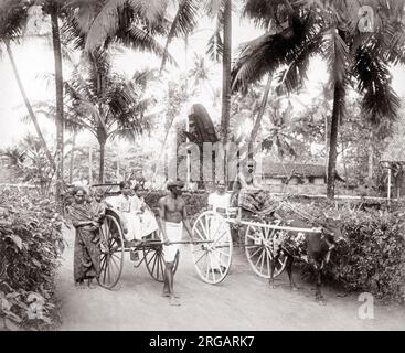 1880's india o Ceylon (Sri Lanka) - carrello bullock - modi di trasporto. Foto Stock