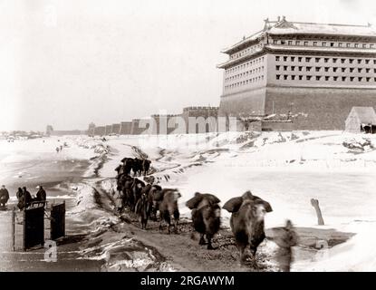 Mura della città nella neve, cammelli, Pechino, Cina c.1900 Foto Stock