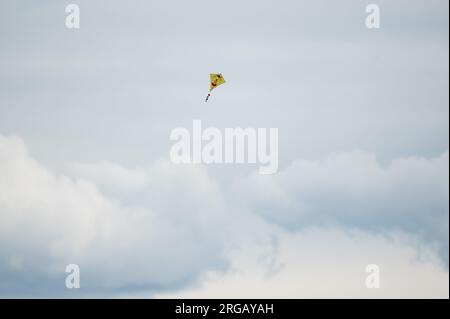 Rottweil, Germania. 8 agosto 2023. Un aquilone vola nel vento contro un cielo scuro. Crediti: Silas Stein/dpa/Alamy Live News Foto Stock