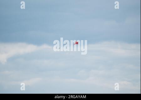 Rottweil, Germania. 8 agosto 2023. Un aquilone vola nel vento contro un cielo scuro. Crediti: Silas Stein/dpa/Alamy Live News Foto Stock