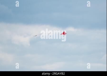 Rottweil, Germania. 8 agosto 2023. Un aquilone vola nel vento contro un cielo scuro. Crediti: Silas Stein/dpa/Alamy Live News Foto Stock