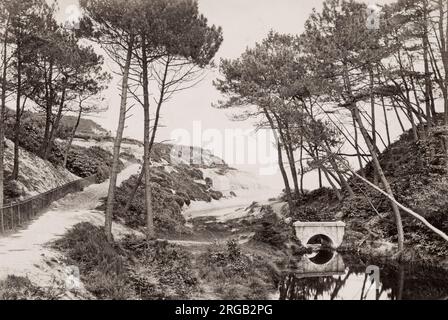 Fotografia d'epoca del XIX secolo: Branksome Chine Beach, Bournemouth Foto Stock