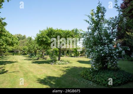 Le verger de Lucie, Jardins de Maizicourt Foto Stock