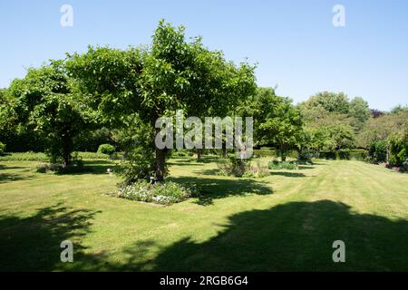 Le verger de Lucie, Jardins de Maizicourt Foto Stock