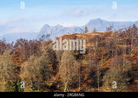 Una coppia in cima a Tom Heights, con i Langdale Pikes dietro di loro, visto da Tarn Hows, Lake District National Park, Cumbria, Englan Foto Stock