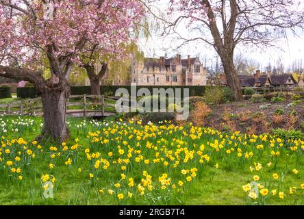 Giardini del castello di Hever in primavera, Kent, Inghilterra Foto Stock