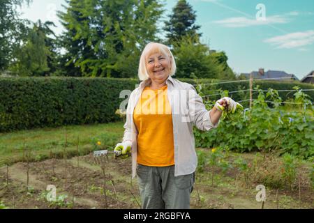 una donna anziana degli anni '50 si tiene un mucchio di sfumature fresche in una fattoria. Verdure fresche biologiche raccolte. Le mani del contadino che tengono il ravanello fresco Foto Stock