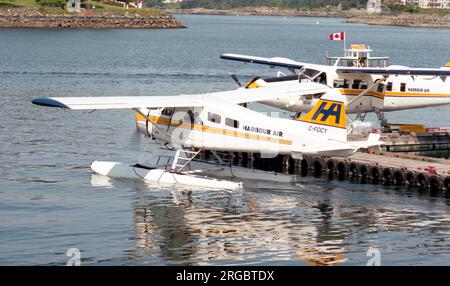 De Havilland Canada DHC-2 Beaver Mk.1 C-FOCY / 204 (msn 79), di Harbour Air, tassando a Victoria Harbour, British Columbia, oltre Harbour Air Turbo-Otter '304'. Foto Stock