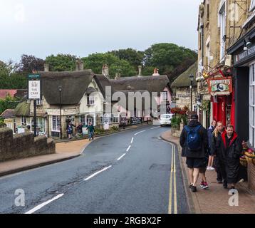 I pittoreschi tetti di paglia del vecchio villaggio di Shanklin nell'Isola di Wight, Inghilterra, Regno Unito Foto Stock