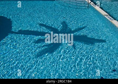 Royal Hawaiian Motel a Wildwood, New Jersey Foto Stock