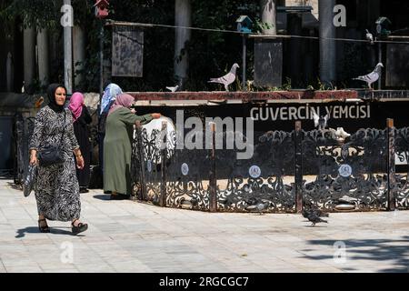 Istanbul, Turchia, Türkiye. Eyup Sultan Mosque, donne che danno da mangiare ai piccioni. Foto Stock