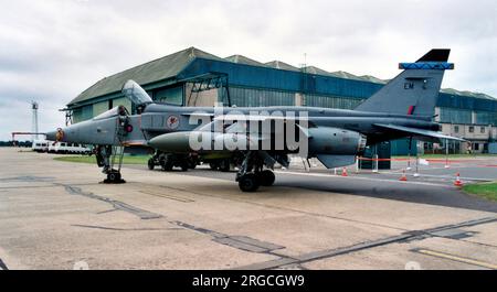 Royal Air Force - SEPECAT Jaguar GR.1A Foto Stock