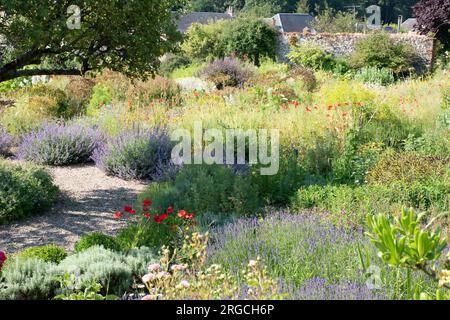 Herbarium des Remparts a Saint Valery sur somme Foto Stock