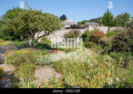 Herbarium des Remparts a Saint Valery sur somme Foto Stock