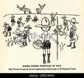 Cartone animato, scene durante la scarsità di grassi, Boy Scouts fare un buon servizio raccolta di farfalle a Richmond Park Foto Stock