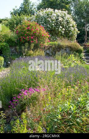 Herbarium des Remparts a Saint Valery sur somme Foto Stock