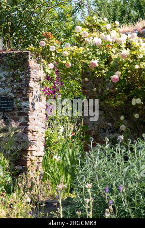 Herbarium des Remparts a Saint Valery sur somme Foto Stock