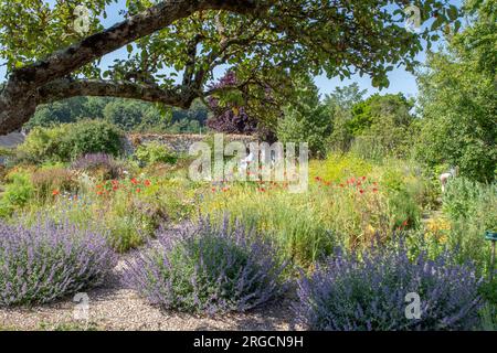 Herbarium des Remparts a Saint Valery sur somme Foto Stock