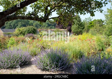 Herbarium des Remparts a Saint Valery sur somme Foto Stock