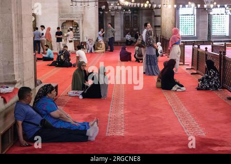 Istanbul, Turchia, Turkiye. I visitatori riposano e parlano nella Moschea di Solimano, la magnifica Moschea di Solimano. Foto Stock